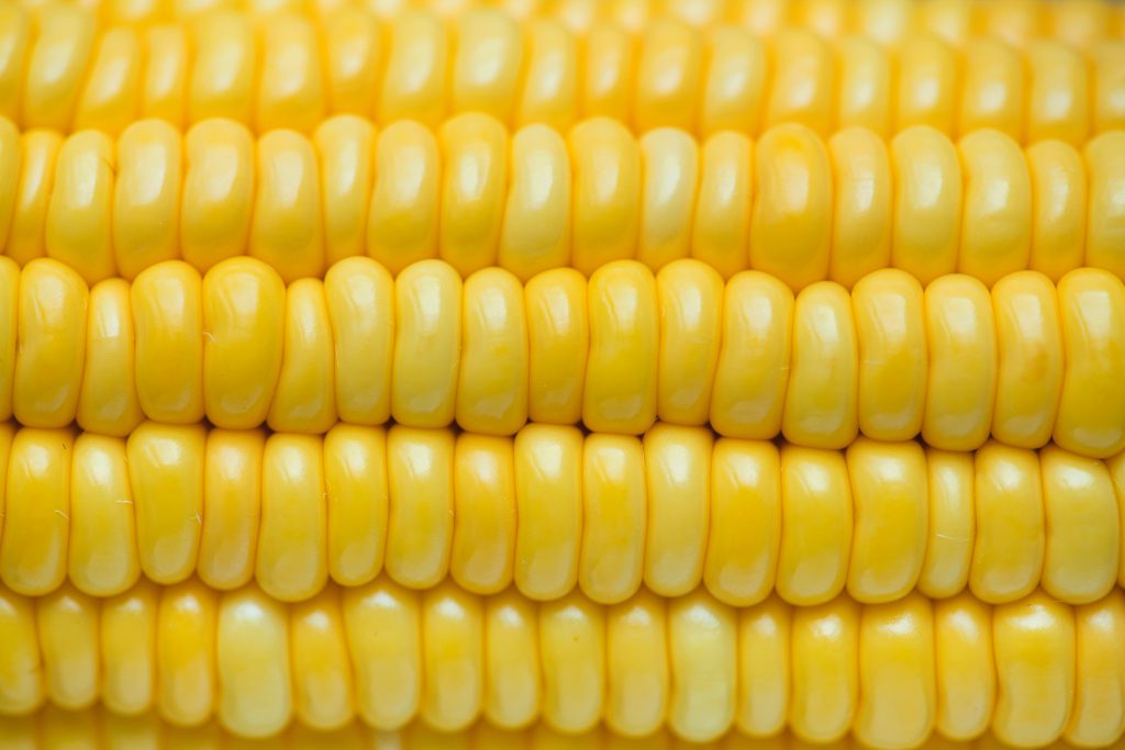 Corn- On-The-Cob